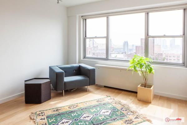 1 bedroom apartment for rent in Midtown East - Manhattan, New York