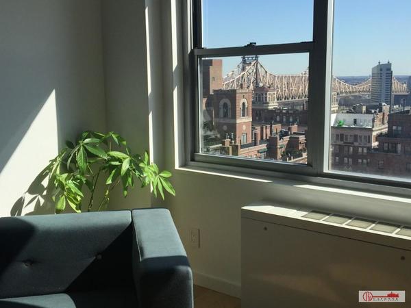 1 bedroom apartment for rent in Midtown East - Manhattan, New York