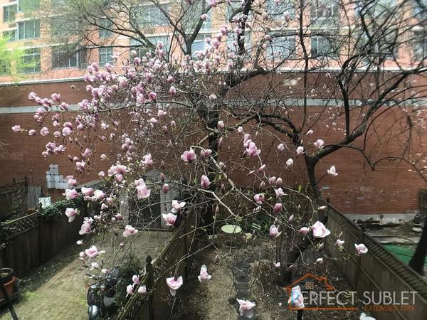 1 bedroom apartment for rent in Murray Hill - Manhattan, New York