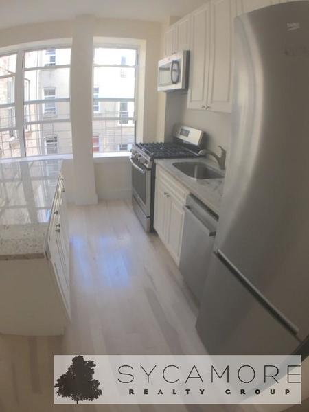 1 bedroom apartment for rent in Flatbush Ditmas Park - Brooklyn, New York