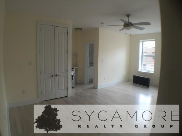 Studio Apartment for rent in Flatbush Ditmas Park - Brooklyn, New York