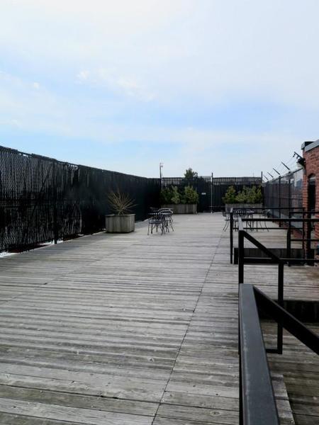 1 bedroom apartment for rent in Williamsburg - Brooklyn, New York