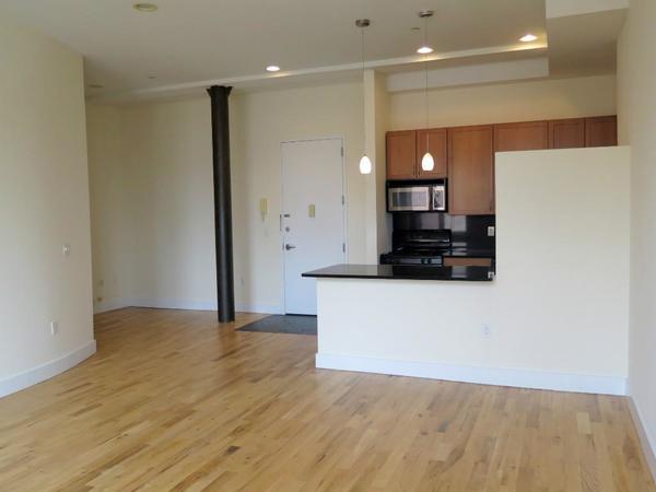 1 bedroom apartment for rent in Williamsburg - Brooklyn, New York