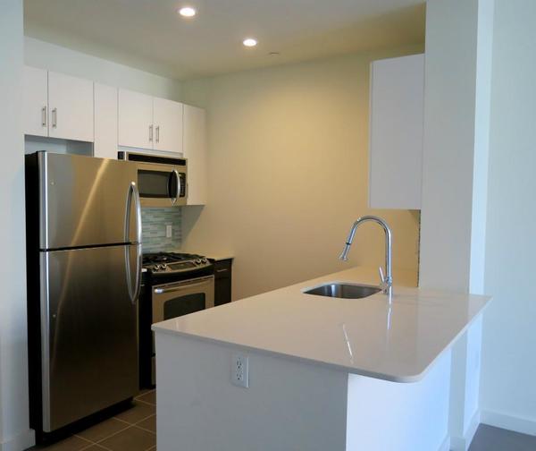 1 bedroom apartment for rent in Williamsburg - Brooklyn, New York