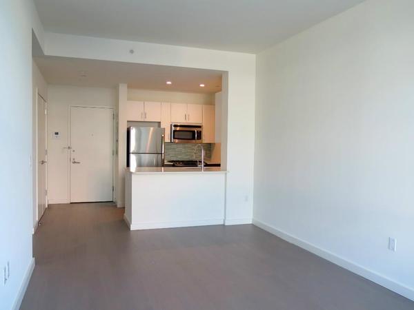 1 bedroom apartment for rent in Williamsburg - Brooklyn, New York
