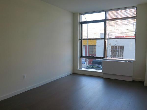 1 bedroom apartment for rent in Williamsburg - Brooklyn, New York