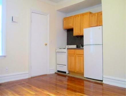 Studio Apartment for rent in Fort Greene - Brooklyn, New York