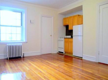 Studio Apartment for rent in Fort Greene - Brooklyn, New York