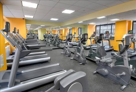 3 bedrooms apartment for rent in Brooklyn Heights - Brooklyn, New York