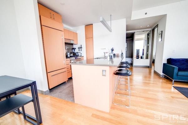 1 bedroom apartment for rent in Financial District - Manhattan, New York