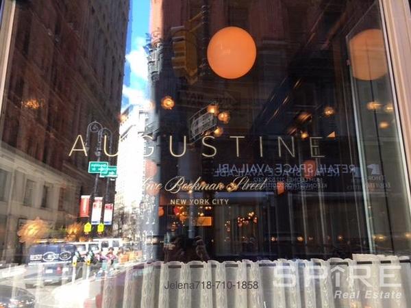 1 bedroom apartment for rent in Financial District - Manhattan, New York