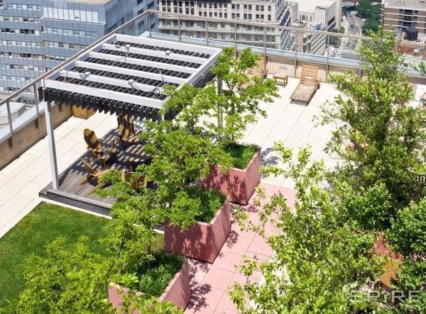 1 bedroom apartment for rent in Financial District - Manhattan, New York