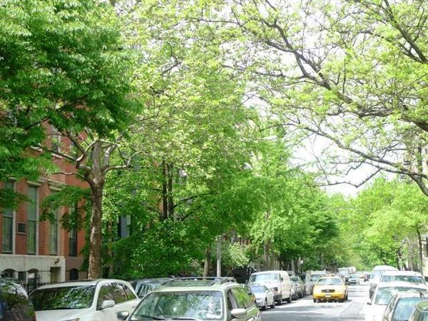 Studio Apartment for rent in Chelsea - Manhattan, New York