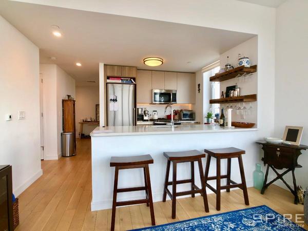 1 bedroom apartment for rent in LIC - Queens, New York