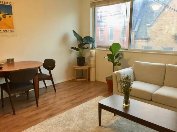 1 bedroom apartment for rent in Lower East Side - Manhattan, New York