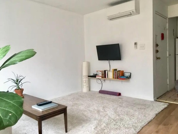 1 bedroom apartment for rent in Lower East Side - Manhattan, New York