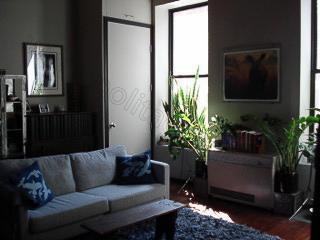1 bedroom apartment for rent in East Village - Manhattan, New York