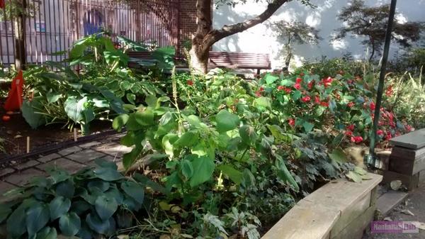 Studio Apartment for rent in Upper West Side - Manhattan, New York