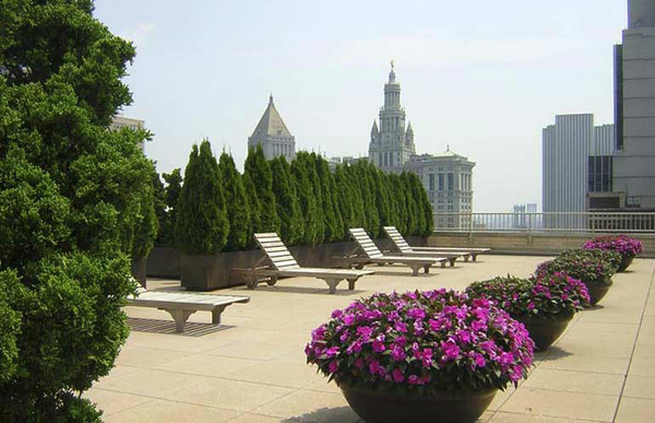 2 bedrooms apartment for rent in Tribeca - Manhattan, New York