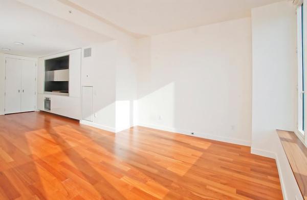 1 bedroom apartment for rent in Financial District - Manhattan, New York