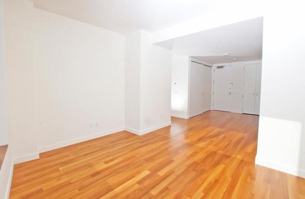 1 bedroom apartment for rent in Financial District - Manhattan, New York