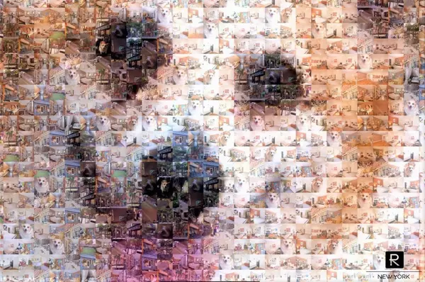 3 bedrooms apartment for rent in Park Slope - Brooklyn, New York