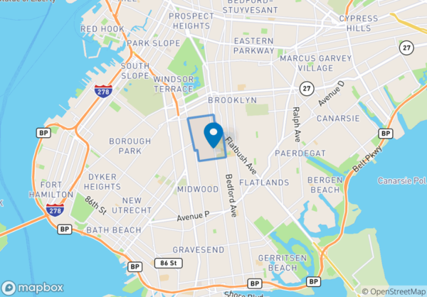 2 bedrooms apartment for rent in Flatbush Ditmas Park - Brooklyn, New York