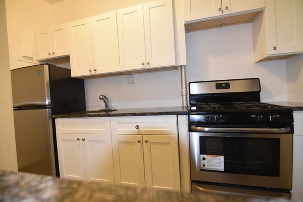 2 bedrooms apartment for rent in Flatbush Ditmas Park - Brooklyn, New York