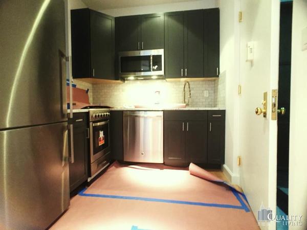 1 bedroom apartment for rent in Lower East Side - Manhattan, New York
