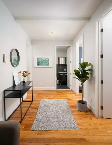 Coliving in Williamsburg - Brooklyn, New York