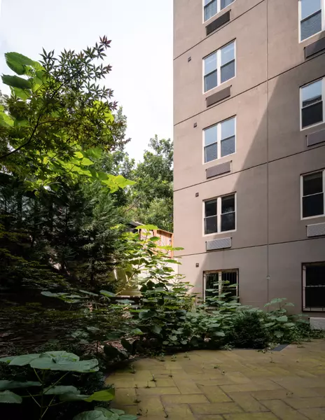 Coliving in Bedford Stuyvesant - Brooklyn, New York