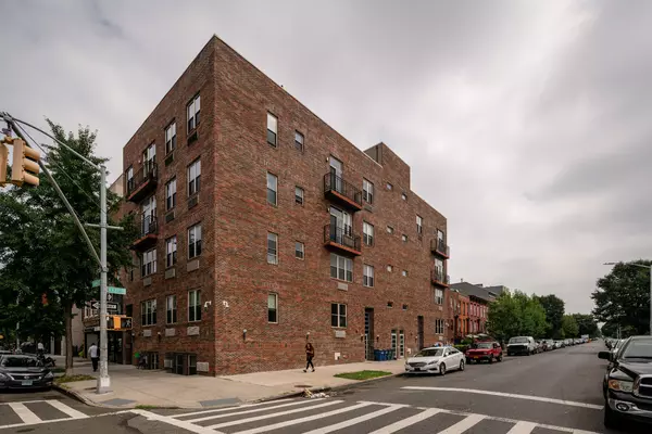 Coliving in Bedford Stuyvesant - Brooklyn, New York