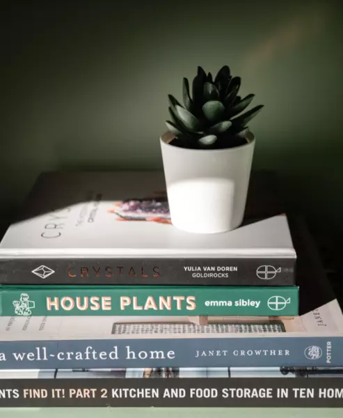 Coliving in Bedford Stuyvesant - Brooklyn, New York