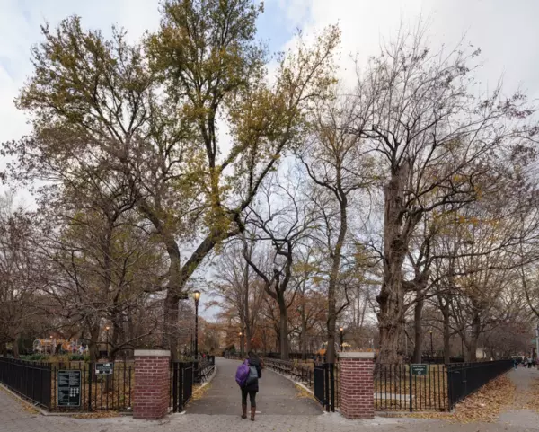 Coliving in East Village - Manhattan, New York