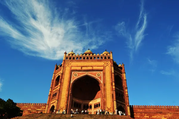 Coliving in Tarrytown - West Austin, Austin