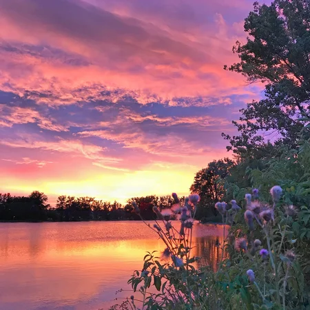 Coliving in Hoboken - Jersey City / Hoboken, New York