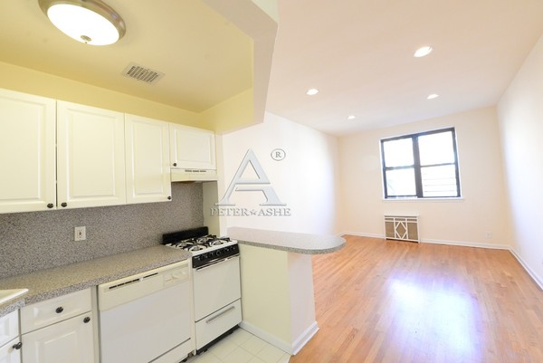 Studio Apartment for rent in Upper East Side - Manhattan, New York