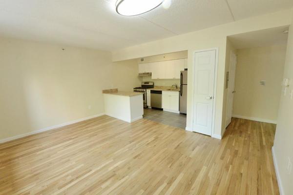 1 bedroom apartment for rent in Harlem - Manhattan, New York