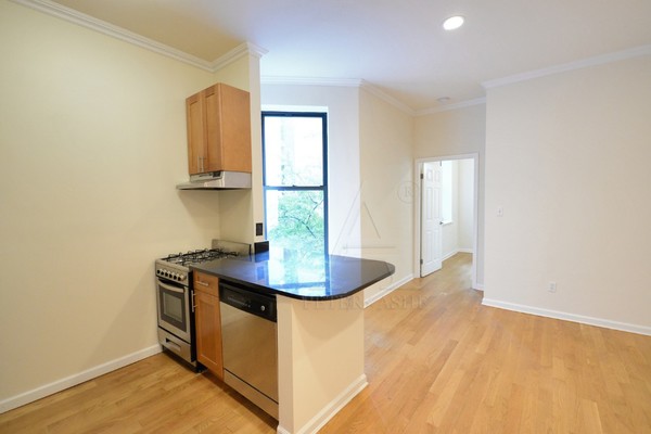 1 bedroom apartment for rent in Upper East Side - Manhattan, New York