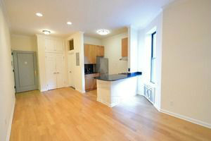 1 bedroom apartment for rent in Upper East Side - Manhattan, New York