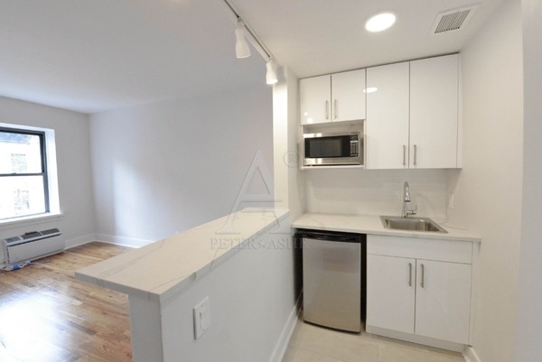Studio Apartment for rent in Upper East Side - Manhattan, New York