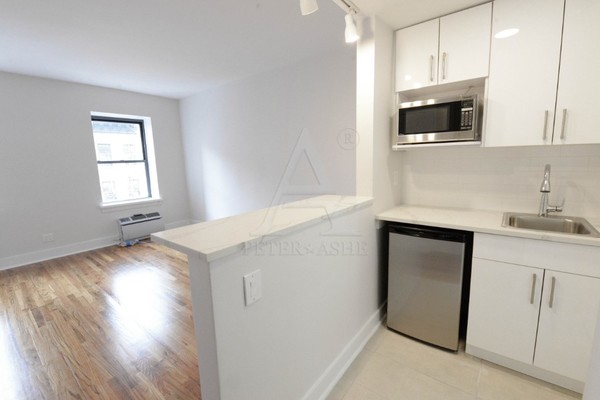 Studio Apartment for rent in Upper East Side - Manhattan, New York