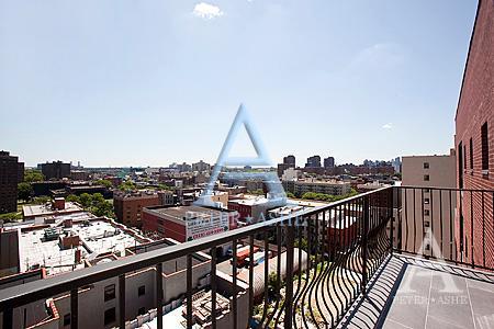 Studio Apartment for rent in Harlem - Manhattan, New York