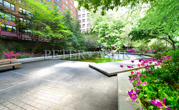 1 bedroom apartment for rent in Upper East Side - Manhattan, New York