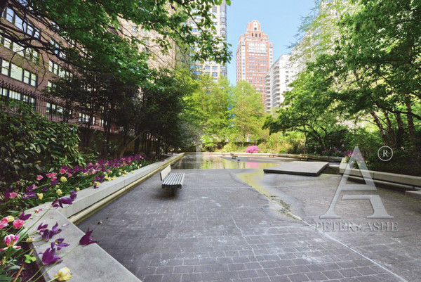 1 bedroom apartment for rent in Upper East Side - Manhattan, New York