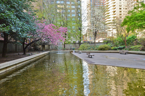 1 bedroom apartment for rent in Upper East Side - Manhattan, New York