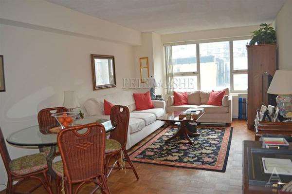 1 bedroom apartment for rent in Upper East Side - Manhattan, New York