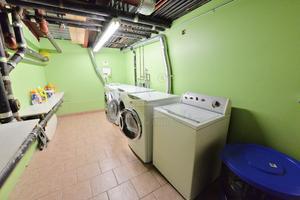 Studio Apartment for rent in Harlem - Manhattan, New York