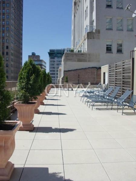 1 bedroom apartment for rent in Financial District - Manhattan, New York