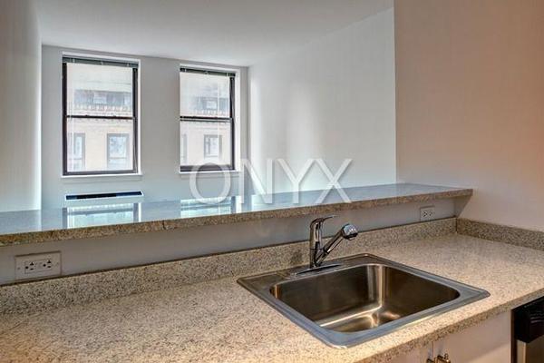 1 bedroom apartment for rent in Financial District - Manhattan, New York